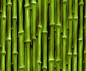 Bambu